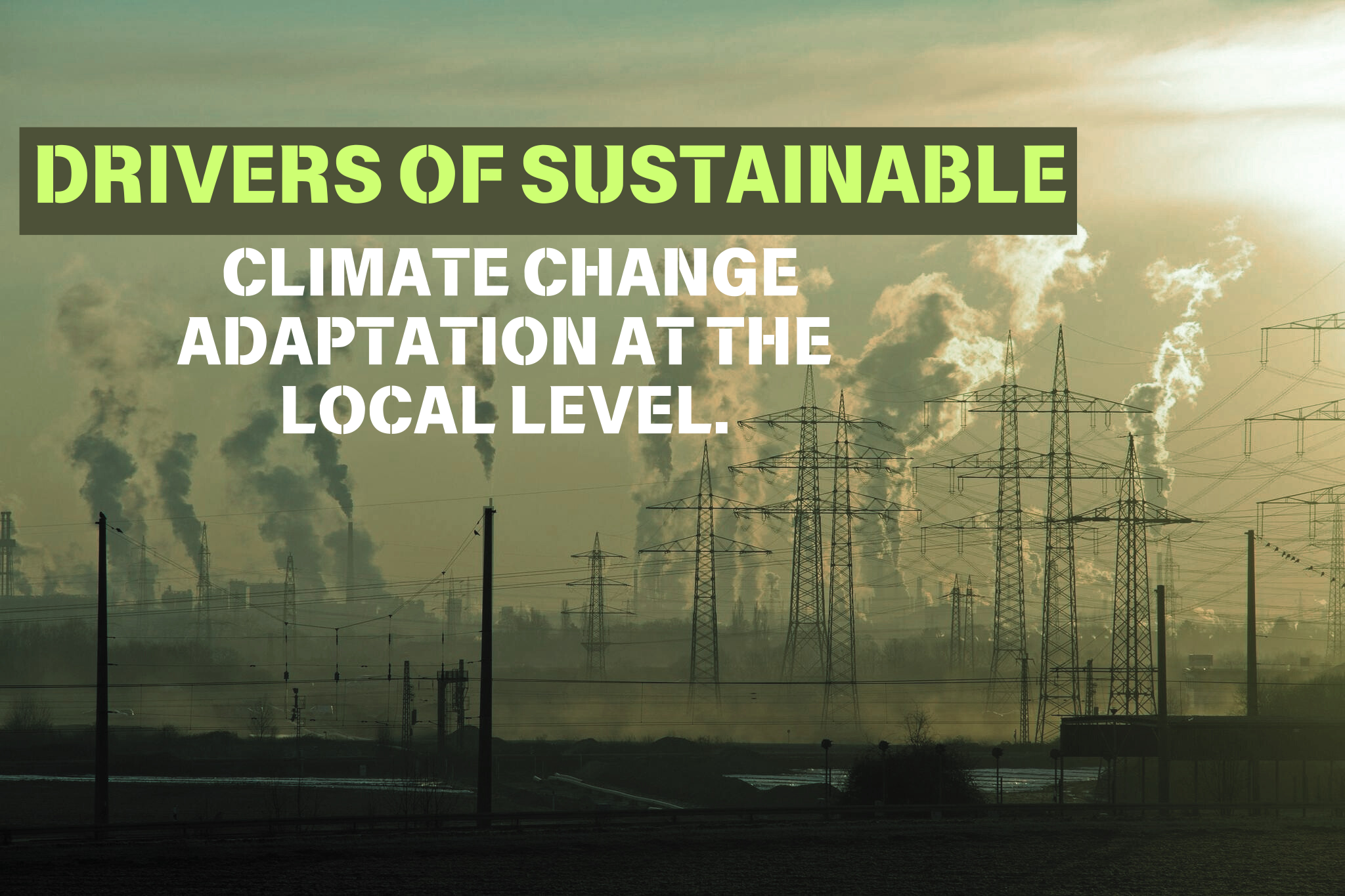 Drivers of Sustainable Climate Change Adaptation at the Local Level.